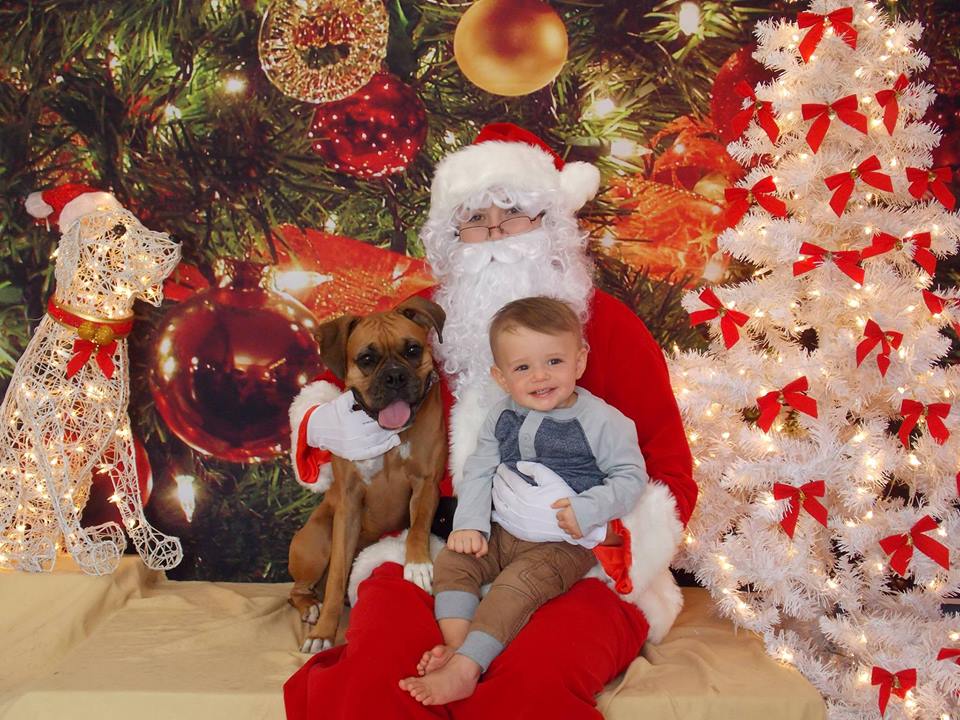 Doggie Photos with Santa