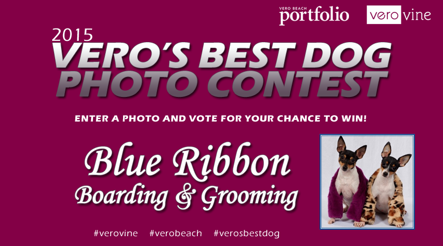 Vero's Best Dog Photo Contest